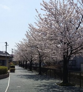 20140407_103418-1024x576